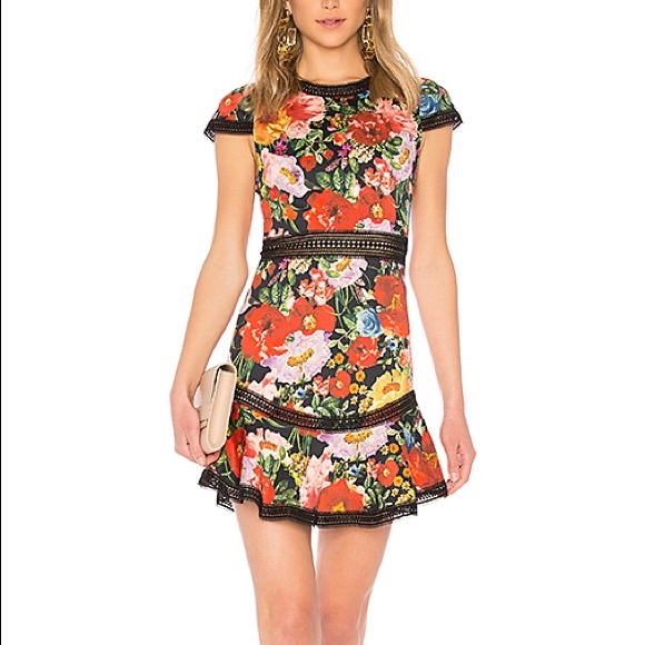 Alice + Olivia Dresses & Skirts - New Alice+Olivia Rapunzel Floral Lace Trim Dress